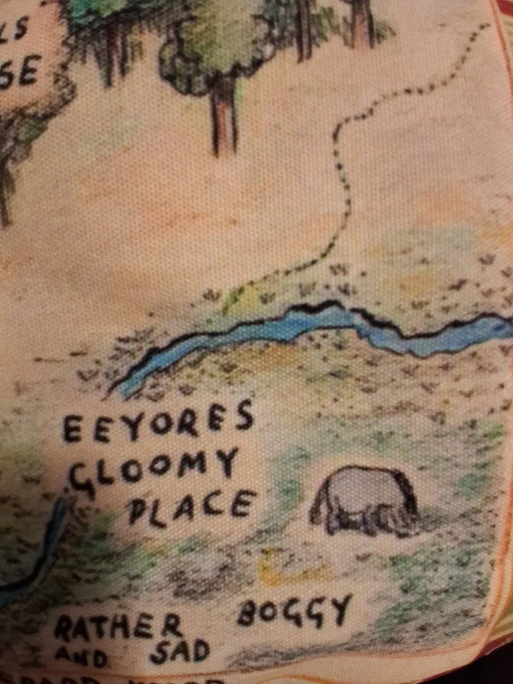 Vintage Winnie the Pooh Map Pillow Cover Illustrated Hundred Acre Wood 17